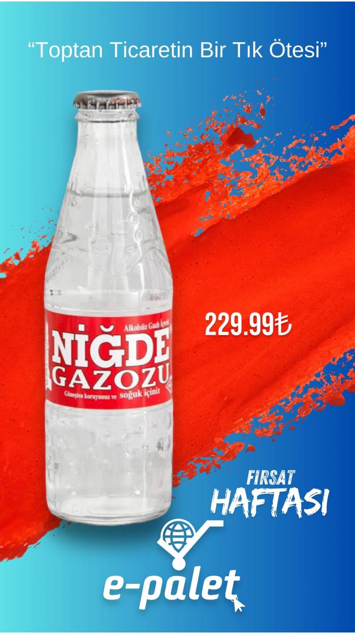 NİĞDE GAZOZ 250ML