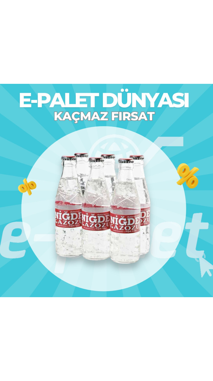 NİĞDE GAZOZ 250 ML